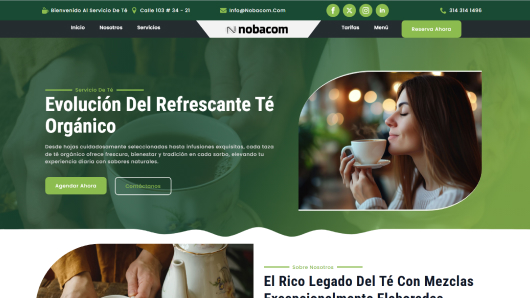 Elige y Activa el Mejor Diseño