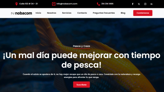 Elige y Activa el Mejor Diseño