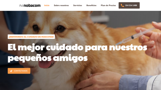 Elige y Activa el Mejor Diseño