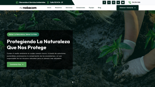 Elige y Activa el Mejor Diseño