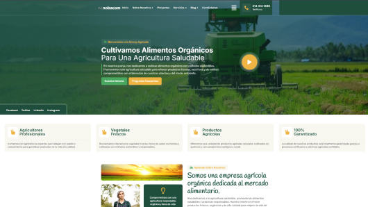 Selecciona Tu Diseño y Lo Personalizamos Para Ti